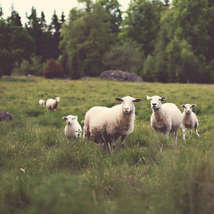 image07